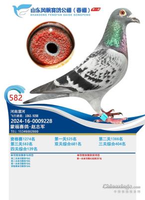 ɽ���緫���ｱ��