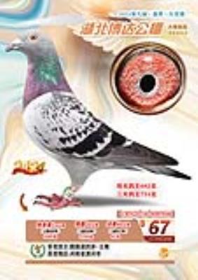 ���ﴺ�ｱ��