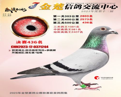 23��������436��