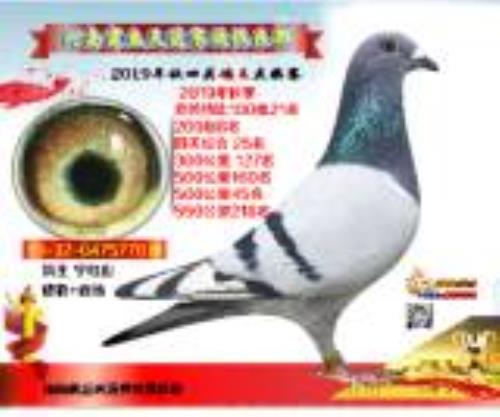 19-32-0475770  ��