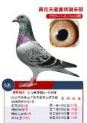 0775578        ��