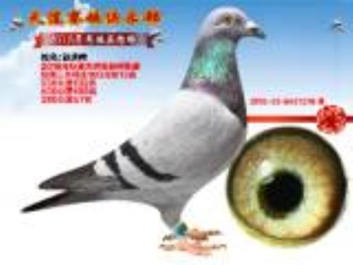 0481270       ��