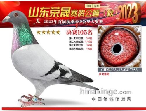 111������