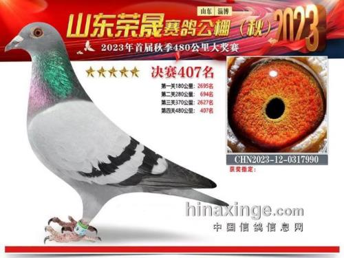 111������