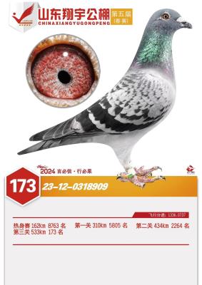 68��������