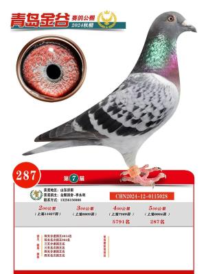 ɣ��ʿ���ٰ���