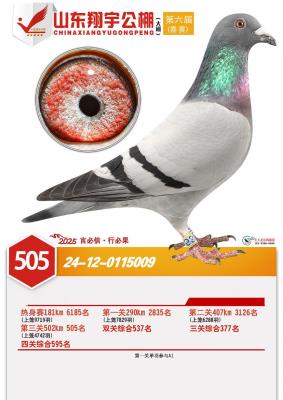 111����������