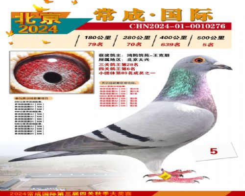 �Ĺظ�����