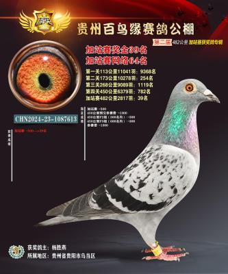 24������վ39��