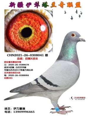 ����������041