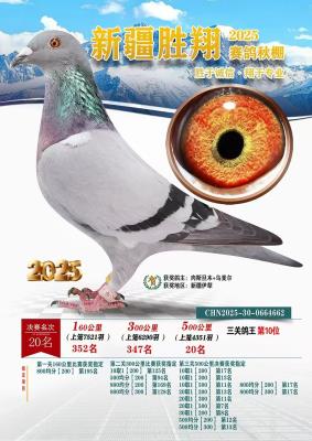 ����10��