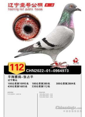 ��˹�����俼����