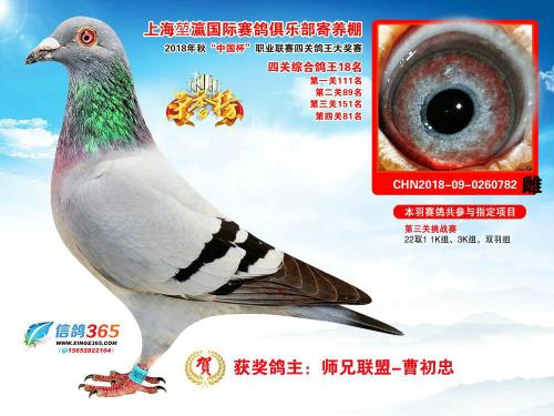 2018���Ӯ18��