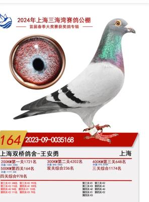 2023��������164��