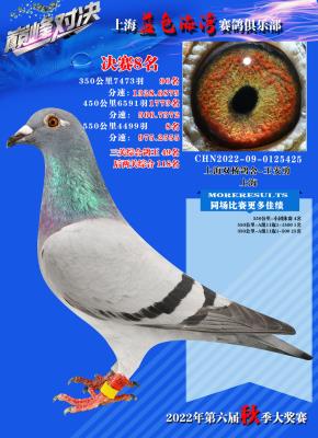 2022������8��