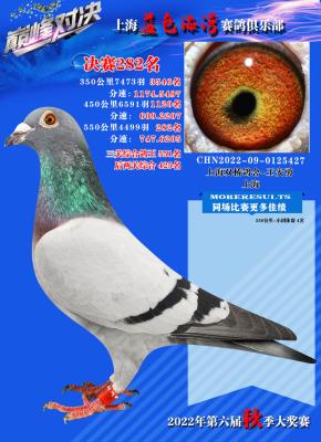 2022������282��