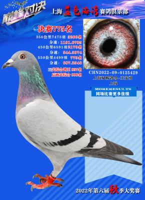 2022������775��