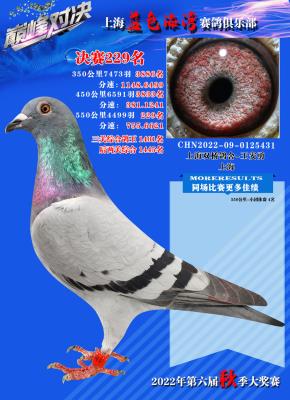 2022������229��