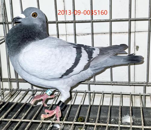 2024��������482��