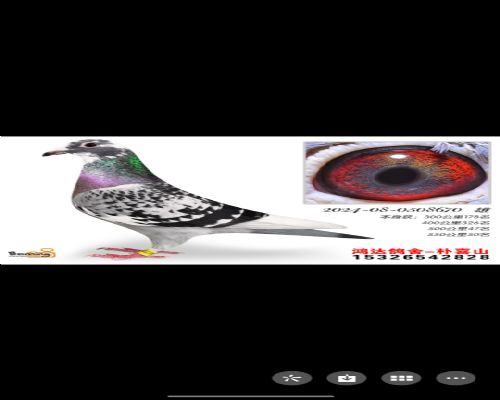 Ѫͳ�ɸ걾����Ѫ��ƽ�������ȶ�������30����