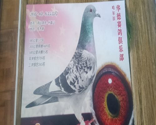 ����55��