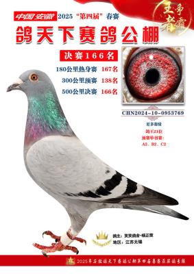 ĸ������