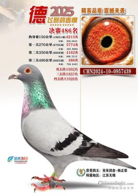 ������9������