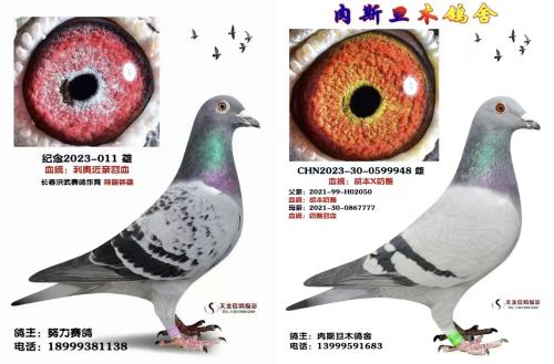 ����10����ĸ