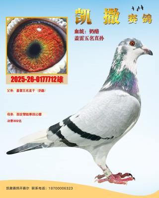 ����5��ֱ��