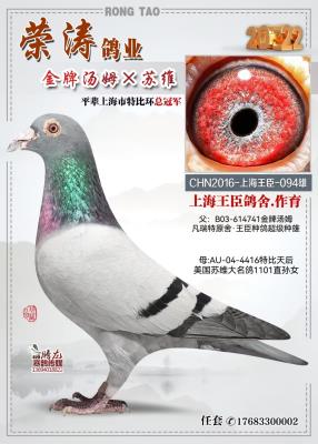 ������ķֱ��