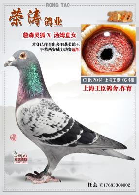 �Ϻ����������024