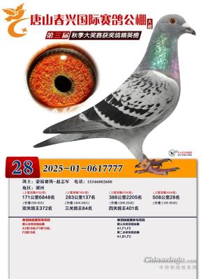 ���˴������28��