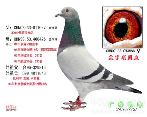 ��������Ѫ