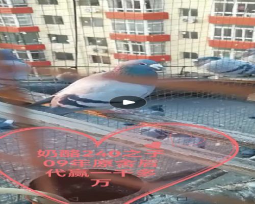 ����ԭ��240֮��