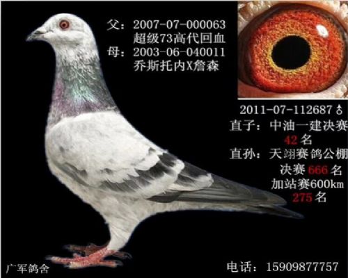 ����73��ѪX��˹���ڲ���