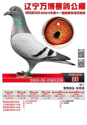 ��2024���վ36��