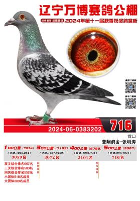 ��2024��716��