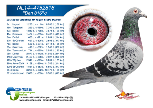 ����˹ ����