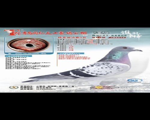 �����Ǿ�