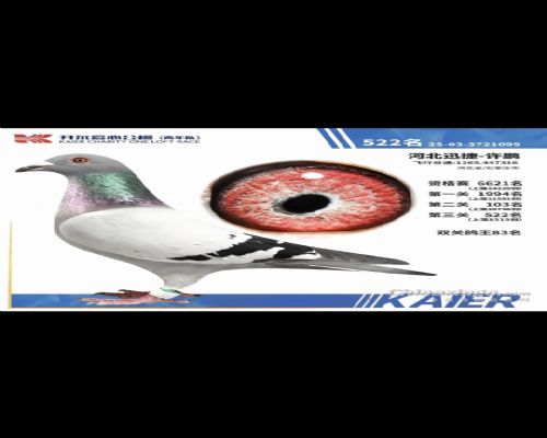 ��������83��