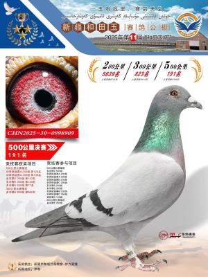 ������191��