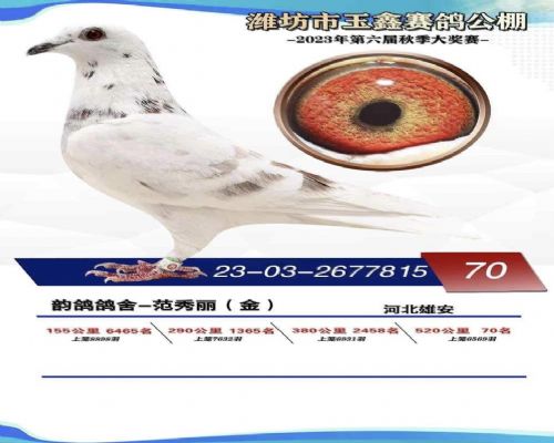 ���ι������70��