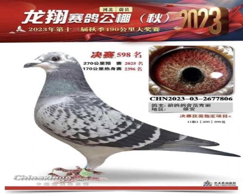 ���蹫�����598��