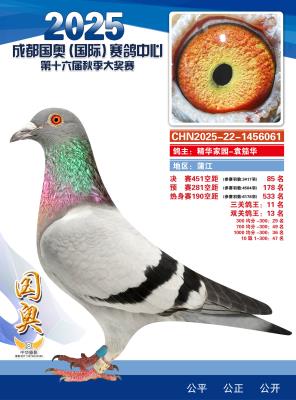 ���ظ���11��