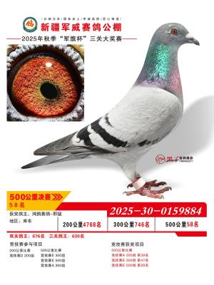 �����ϲ���