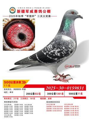 ����11��