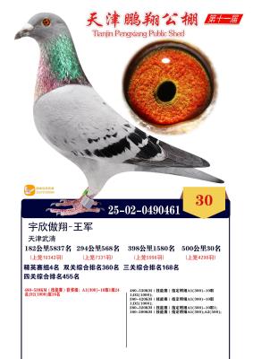 ����30��