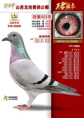 ��ͷ��ĸ���