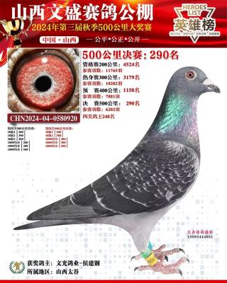 ��Ӣ�����