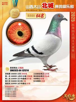 ��ĸ����